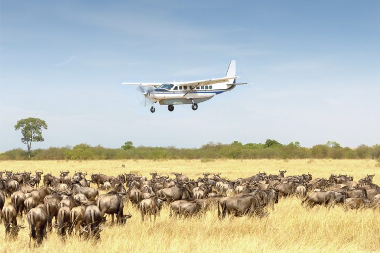 8 Days Elewana1 Flying Safari