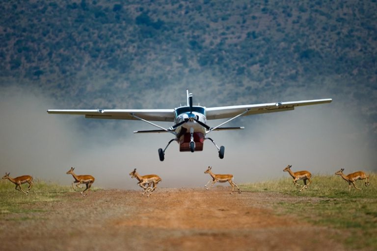 10 Days Elewana 2 Flying Safari