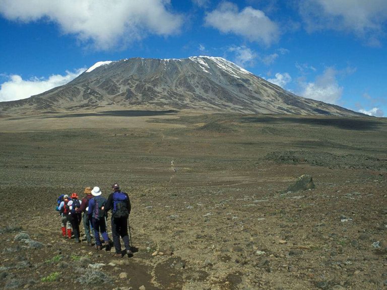 Day Trip Marangu – Mandara Hut, Mount Kilimanjarok- Ref: 003